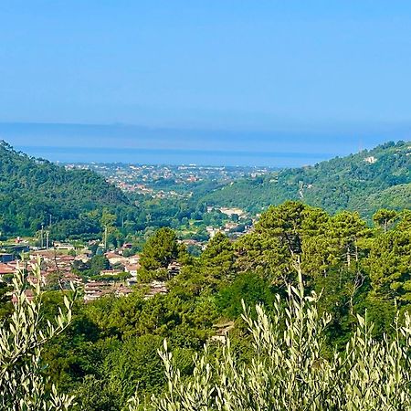Casa Del Sole Panzió Camaiore Kültér fotó