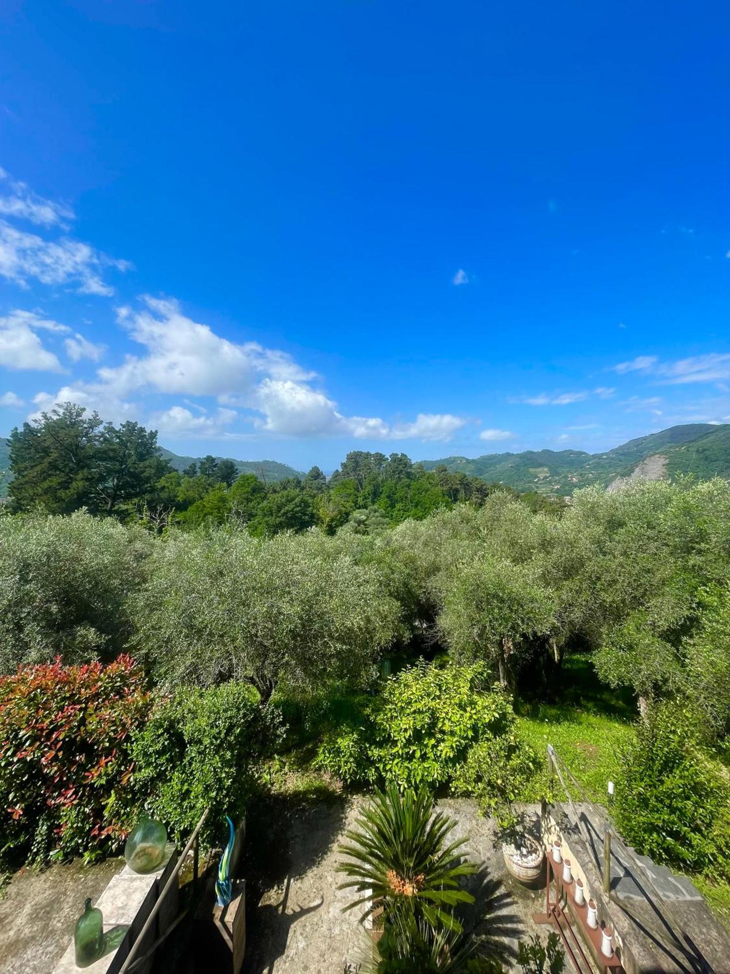 Casa Del Sole Panzió Camaiore Kültér fotó
